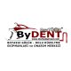 bydent boyasiz onarim pdr tools